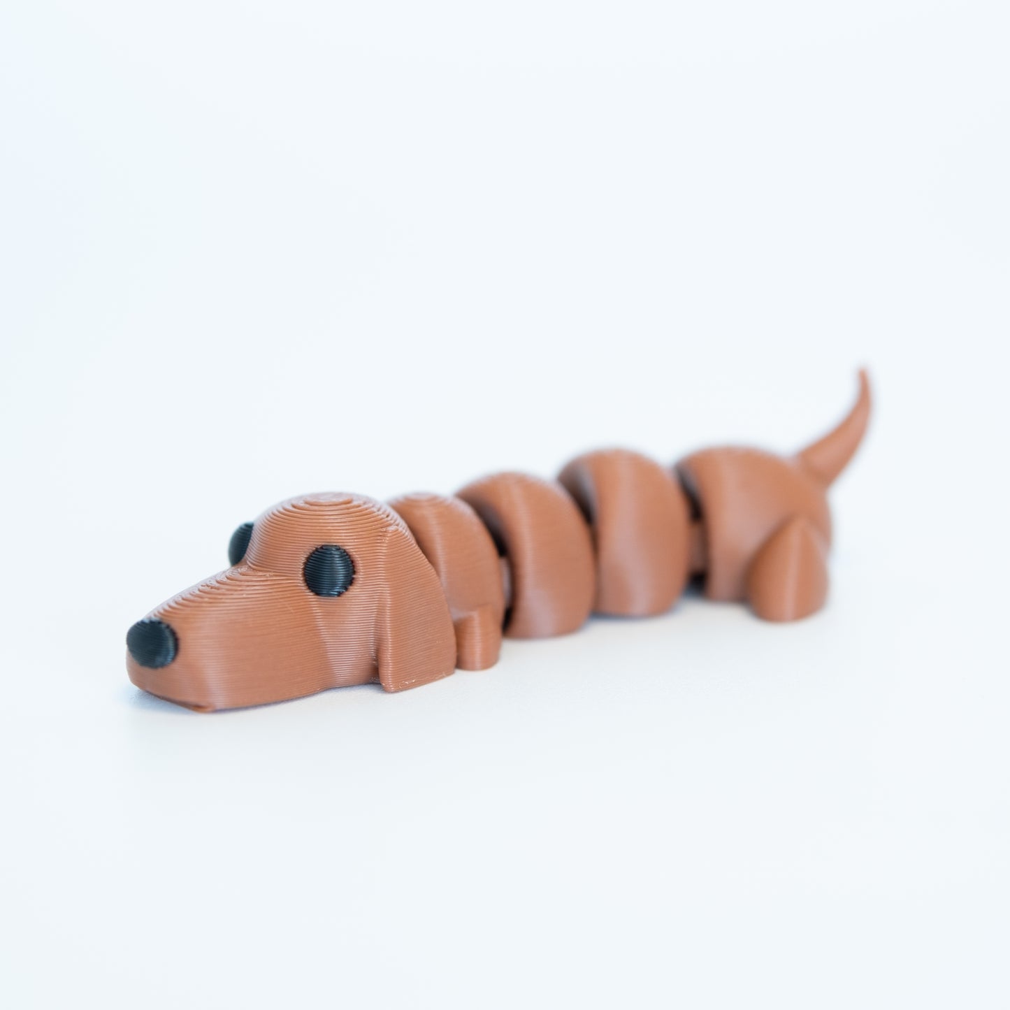 Wiener Dog (Dachshund)