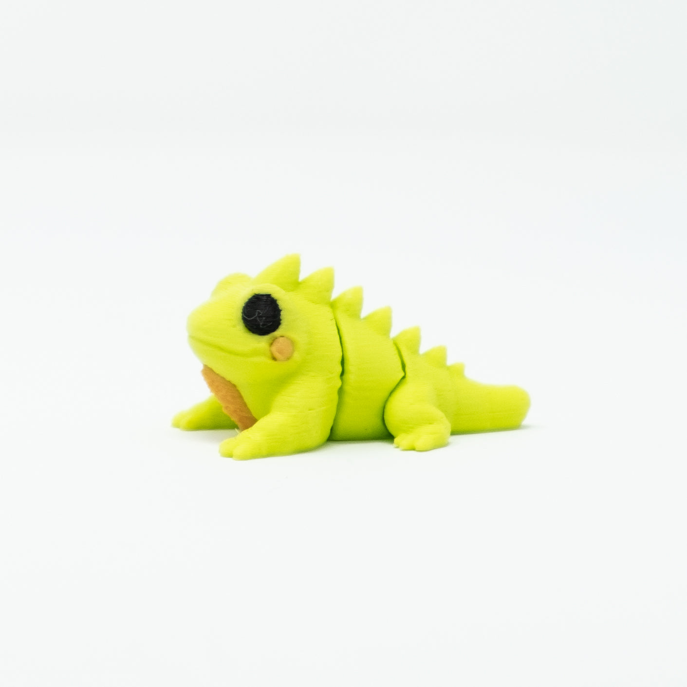 Iguana