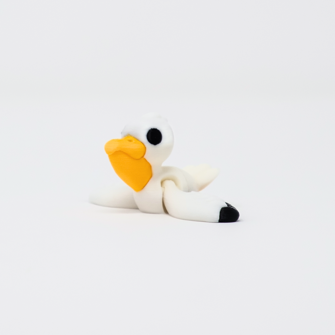 Pelican
