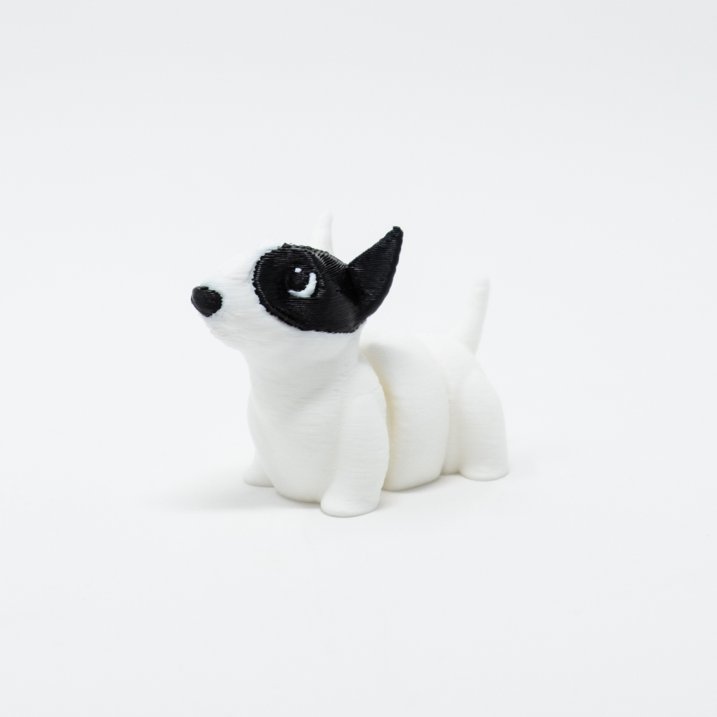 Bull Terrier