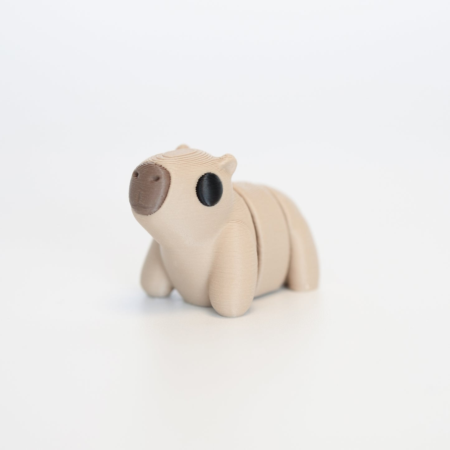 Capybara