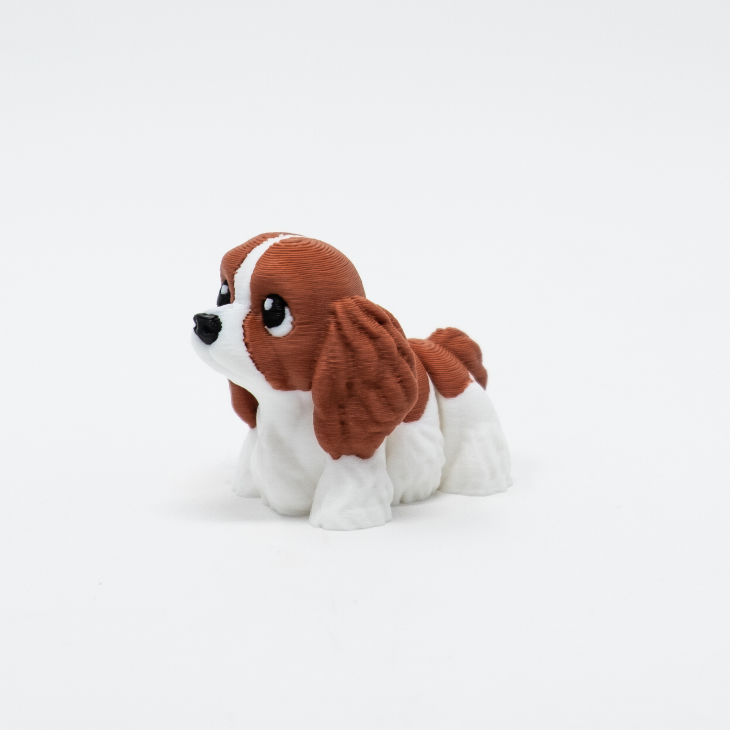 Cocker Spaniel