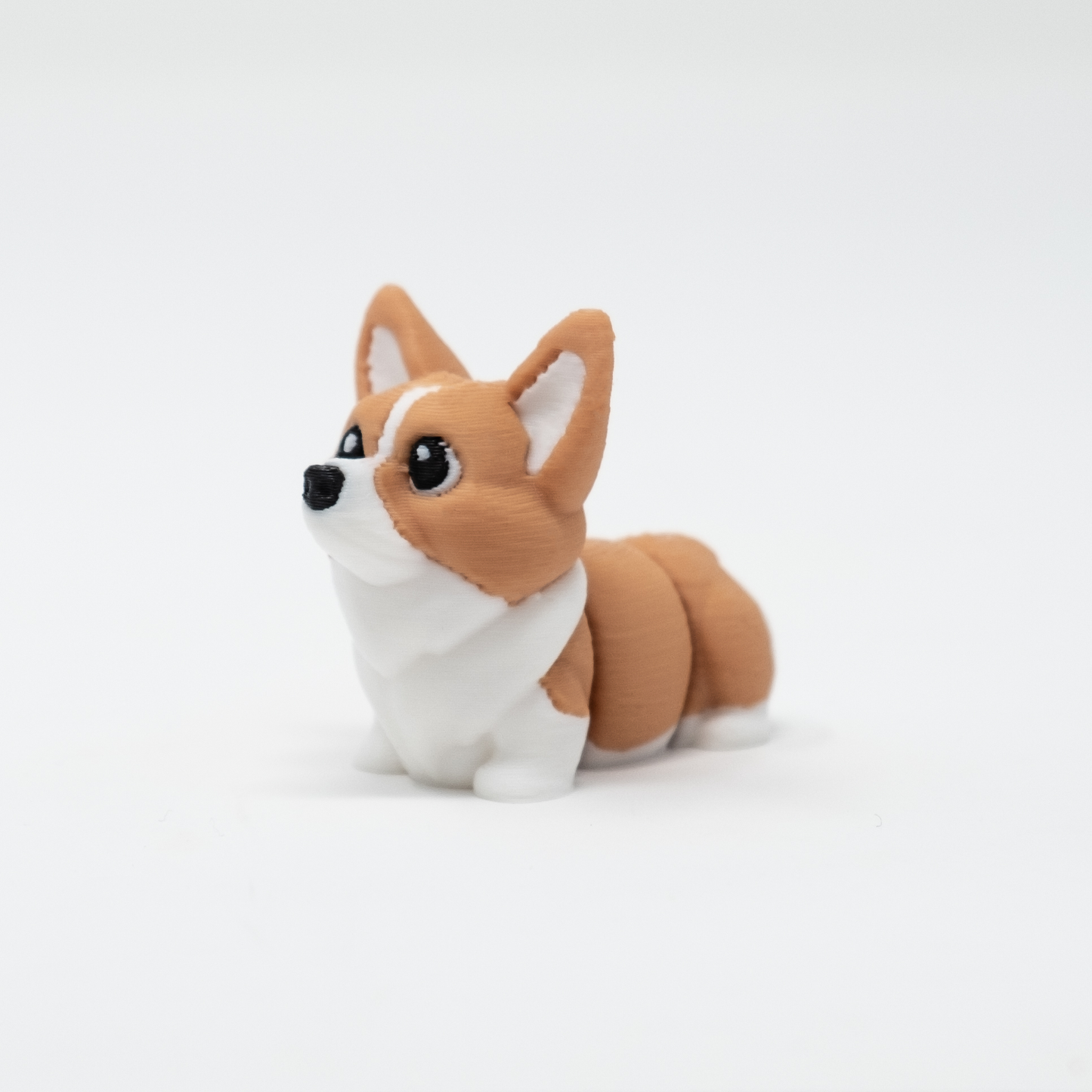 Corgi