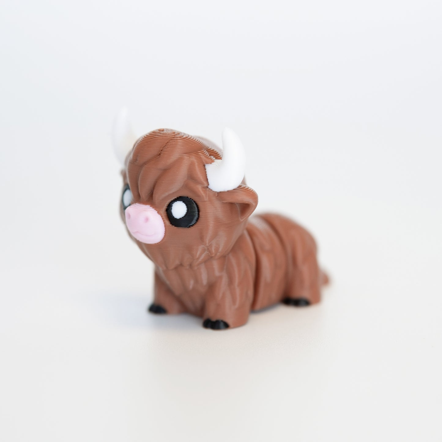 Cow (Highland Cow)
