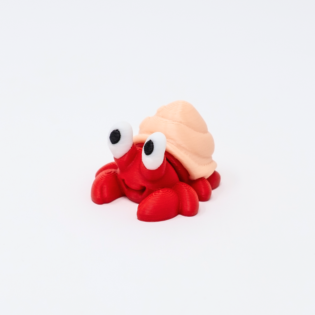 Hermit Crab