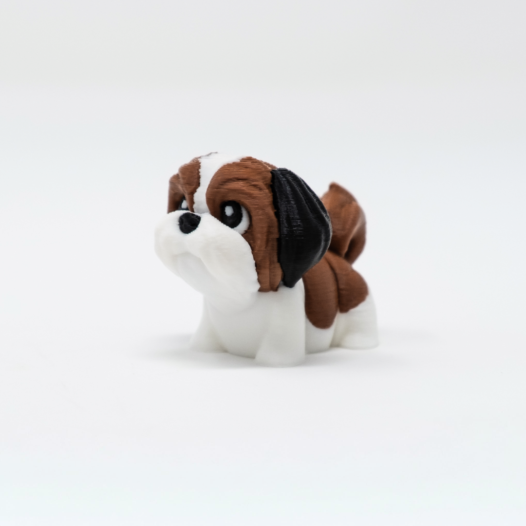 Shih Tzu