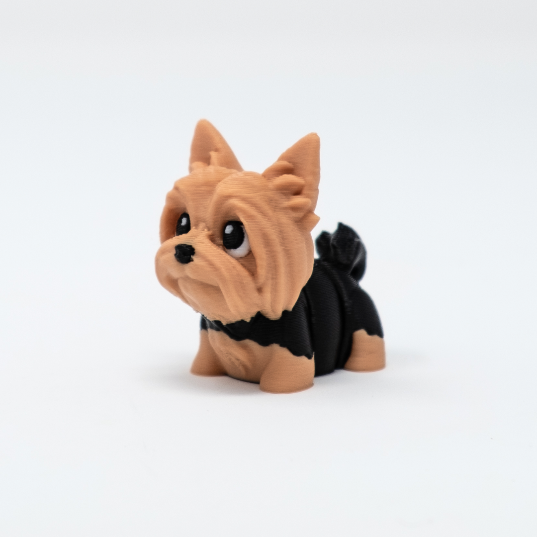 Yorkie