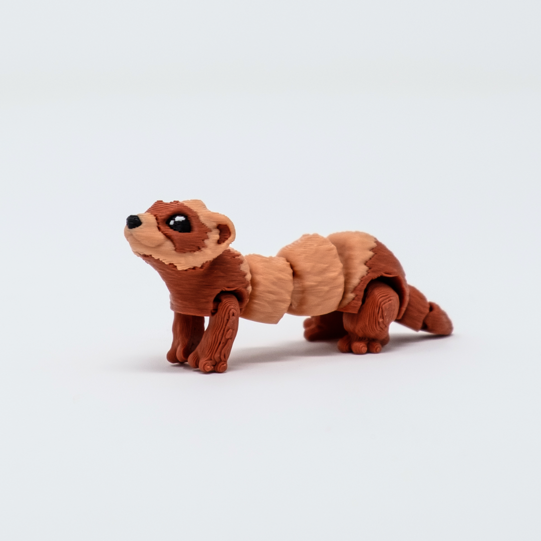 Ferret