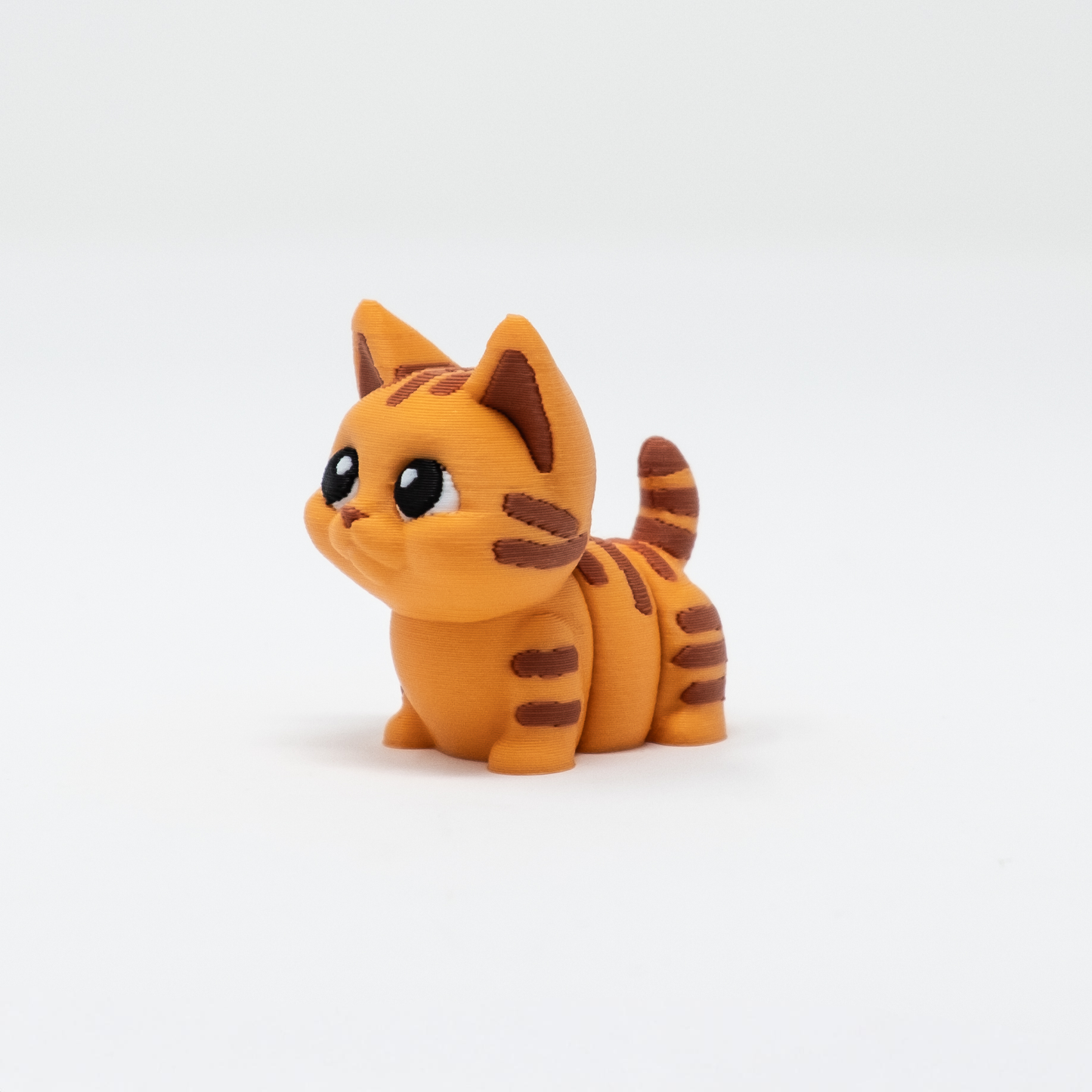 Orange Cat