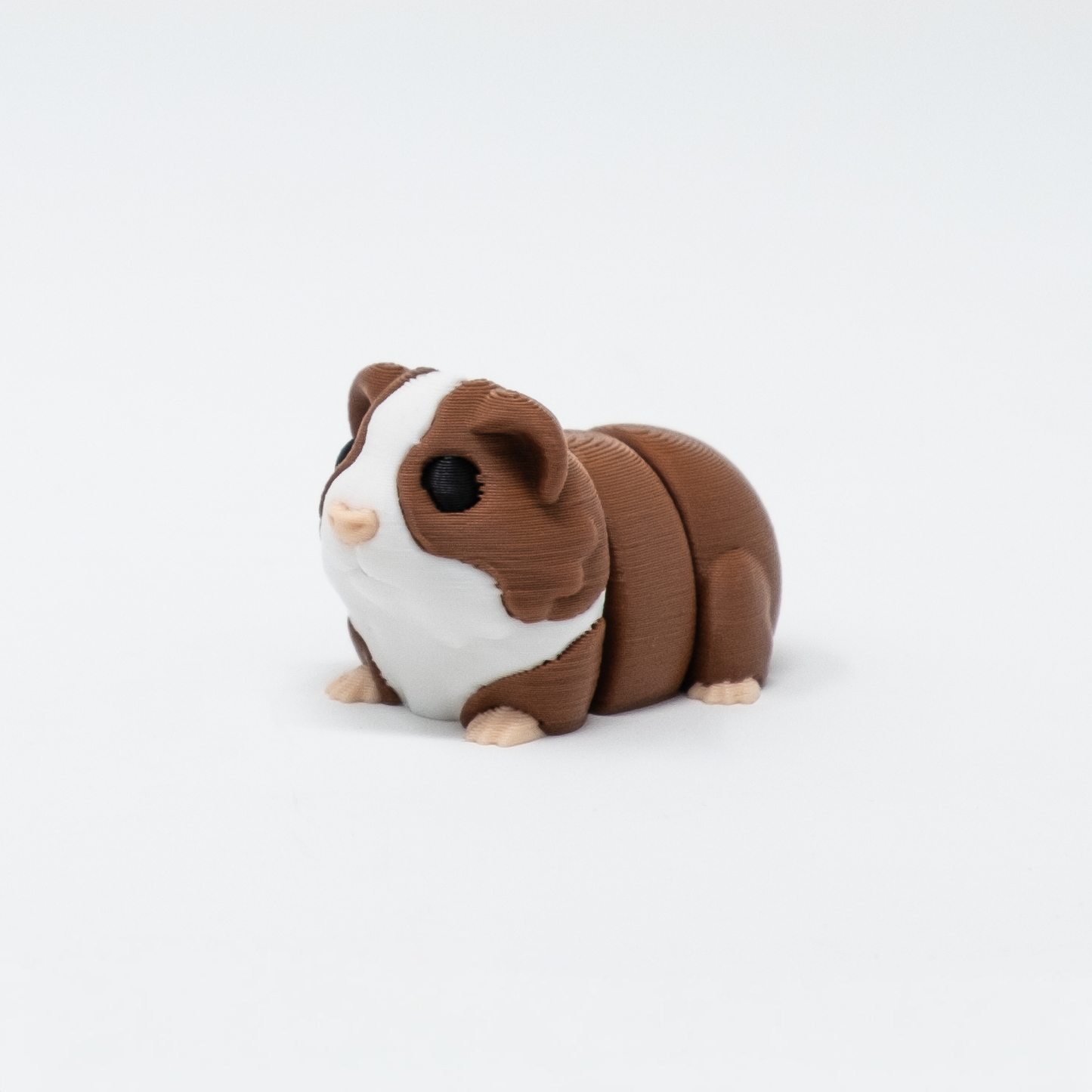 Guinea Pig