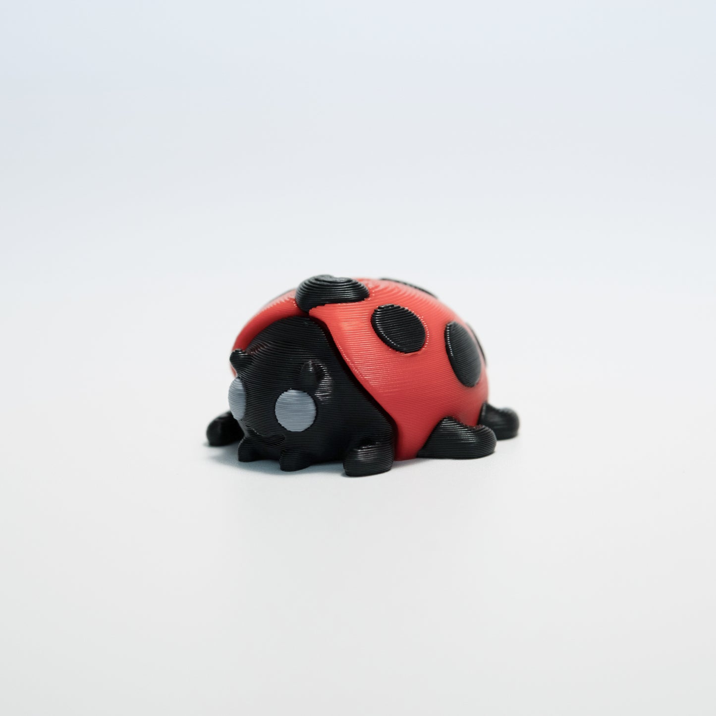 Lady Bug