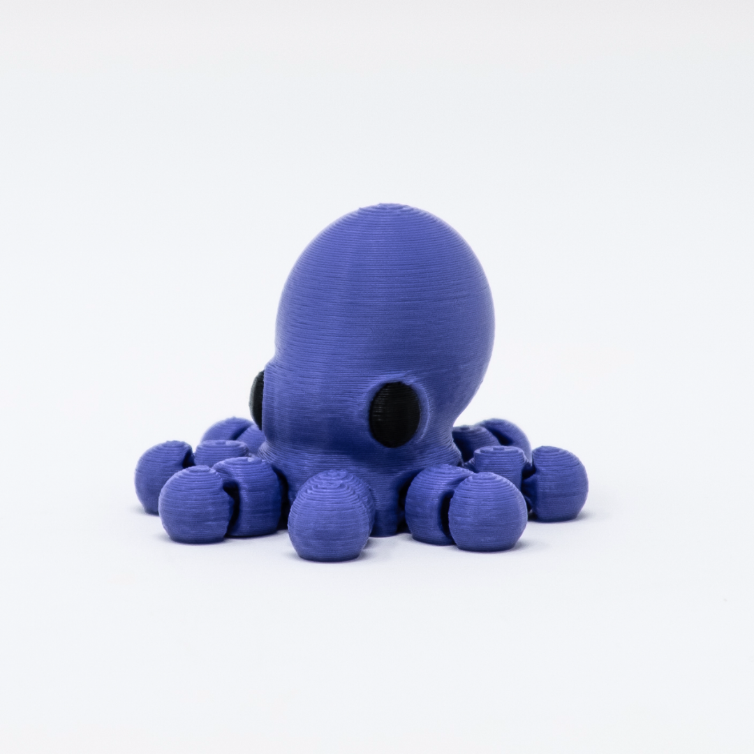 Octopus