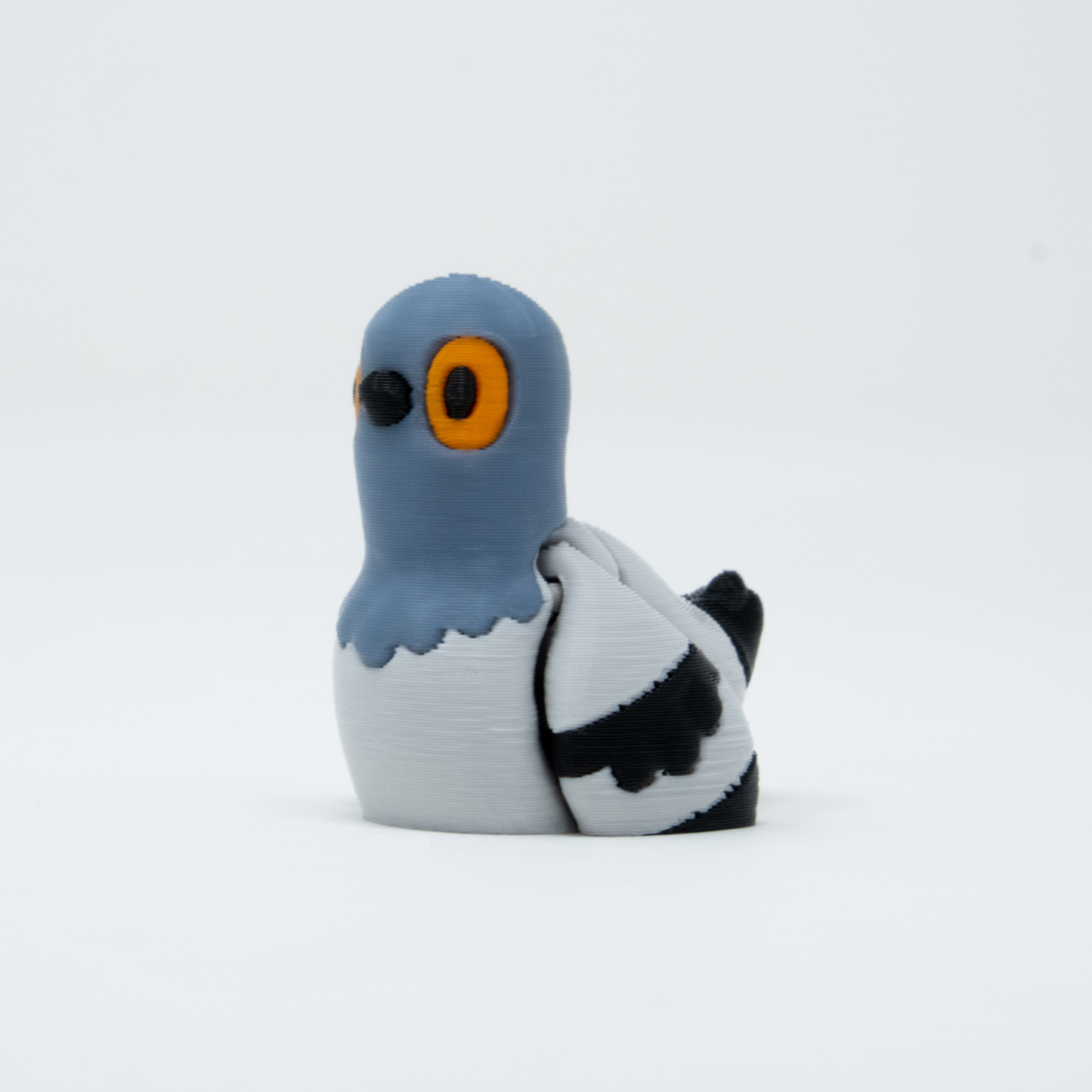 Pigeon