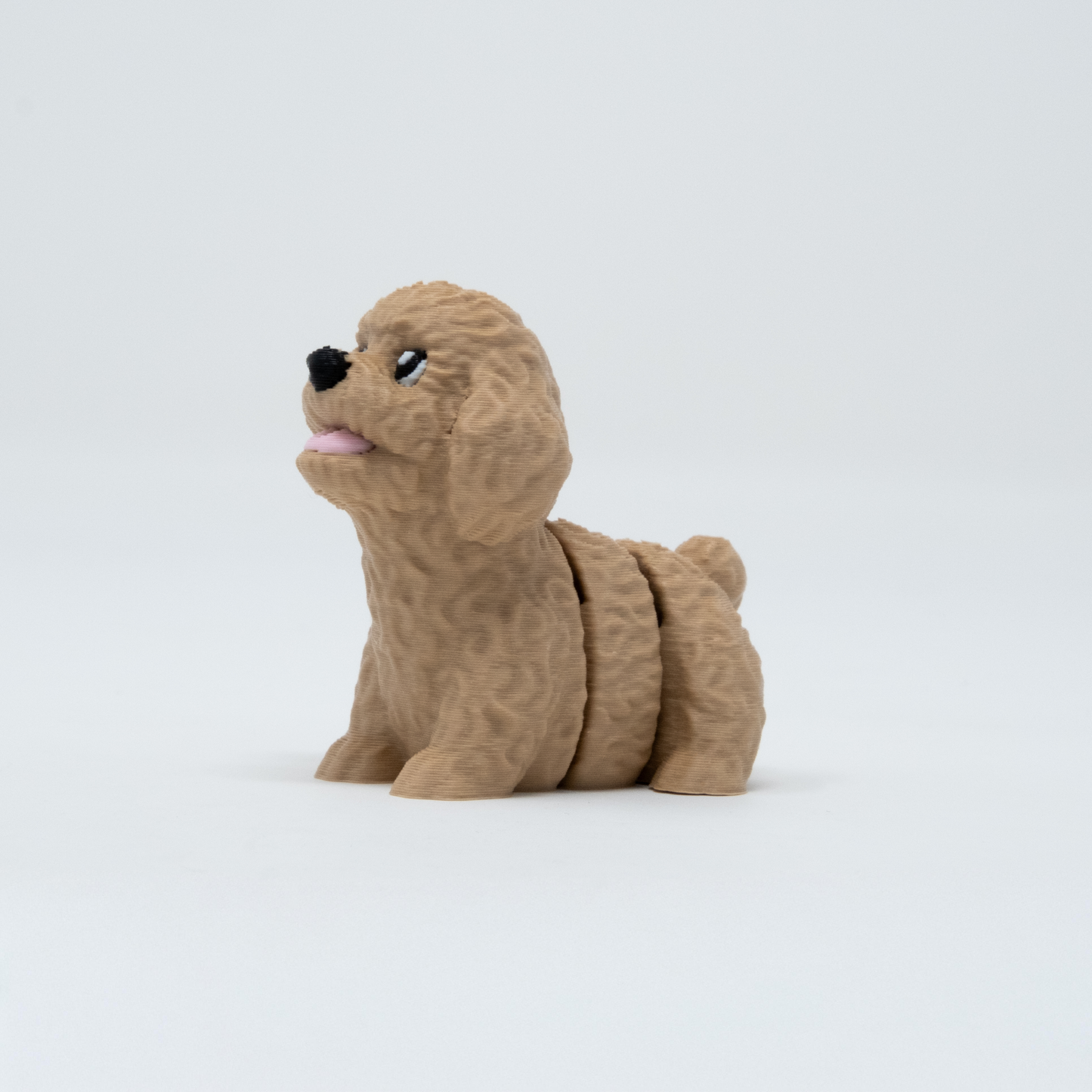 Poodle