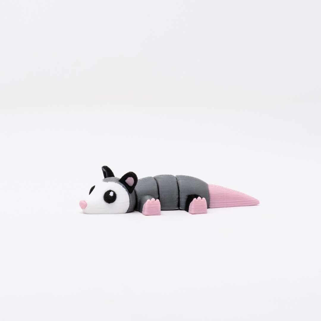Possum