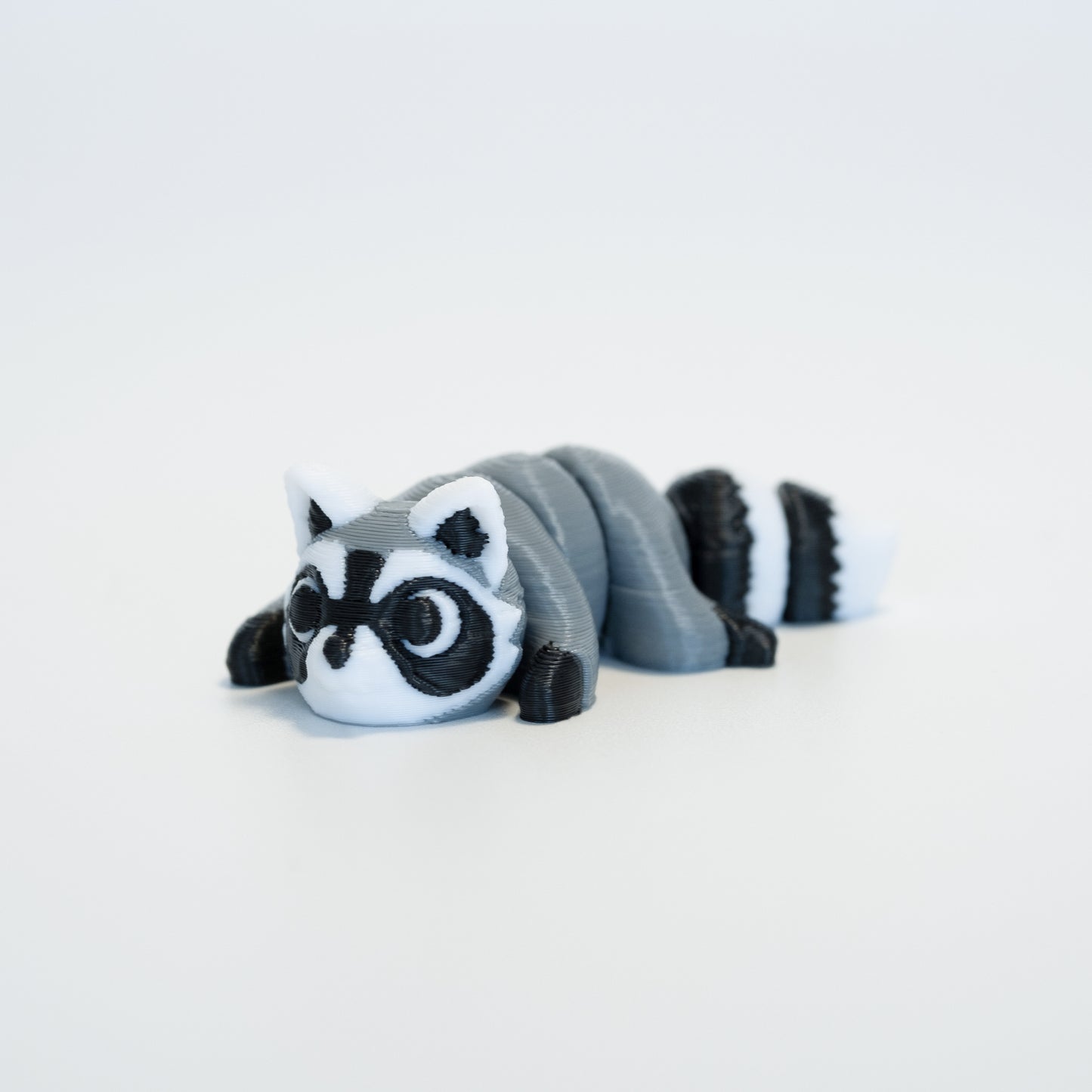 Raccoon