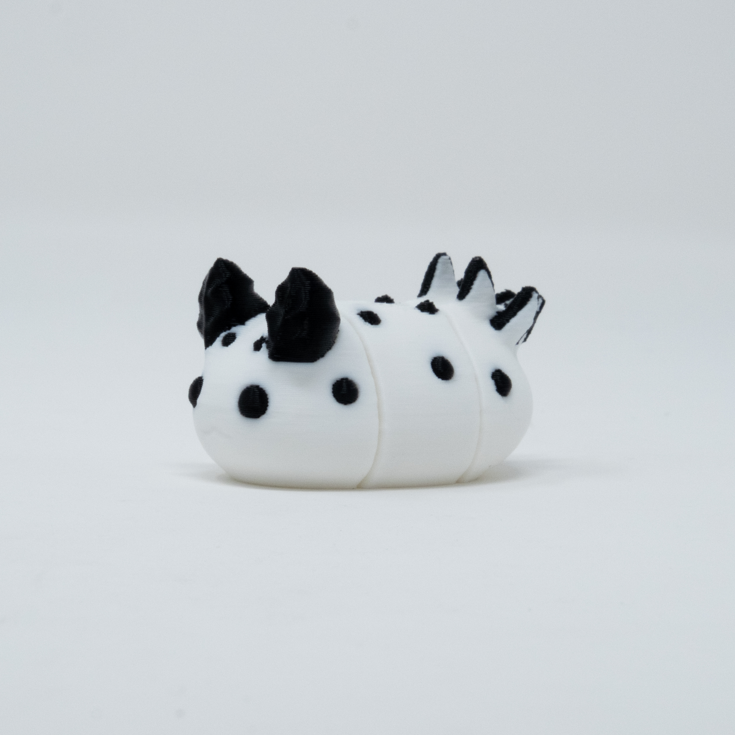 Sea Bunny