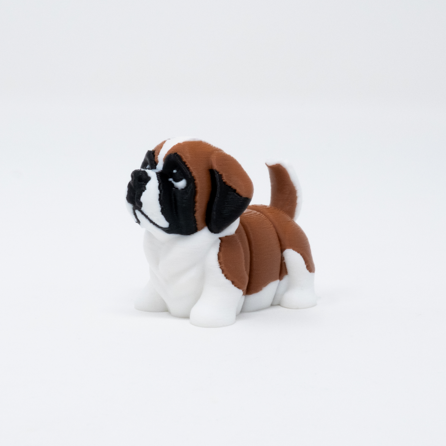 St Bernard