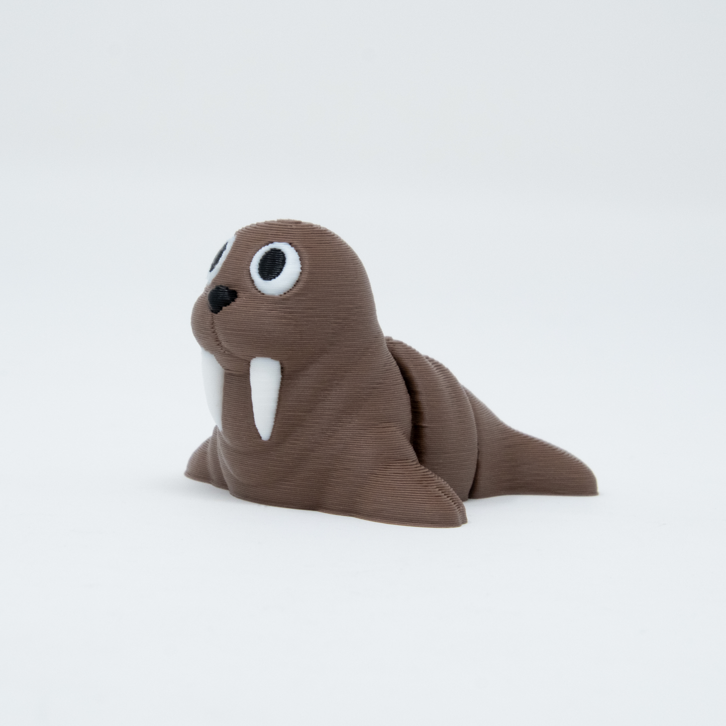 Walrus