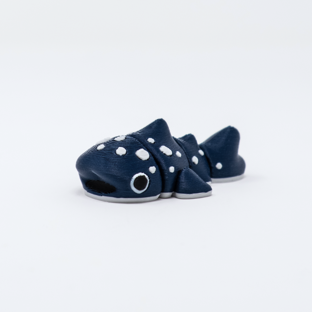 Whale Shark