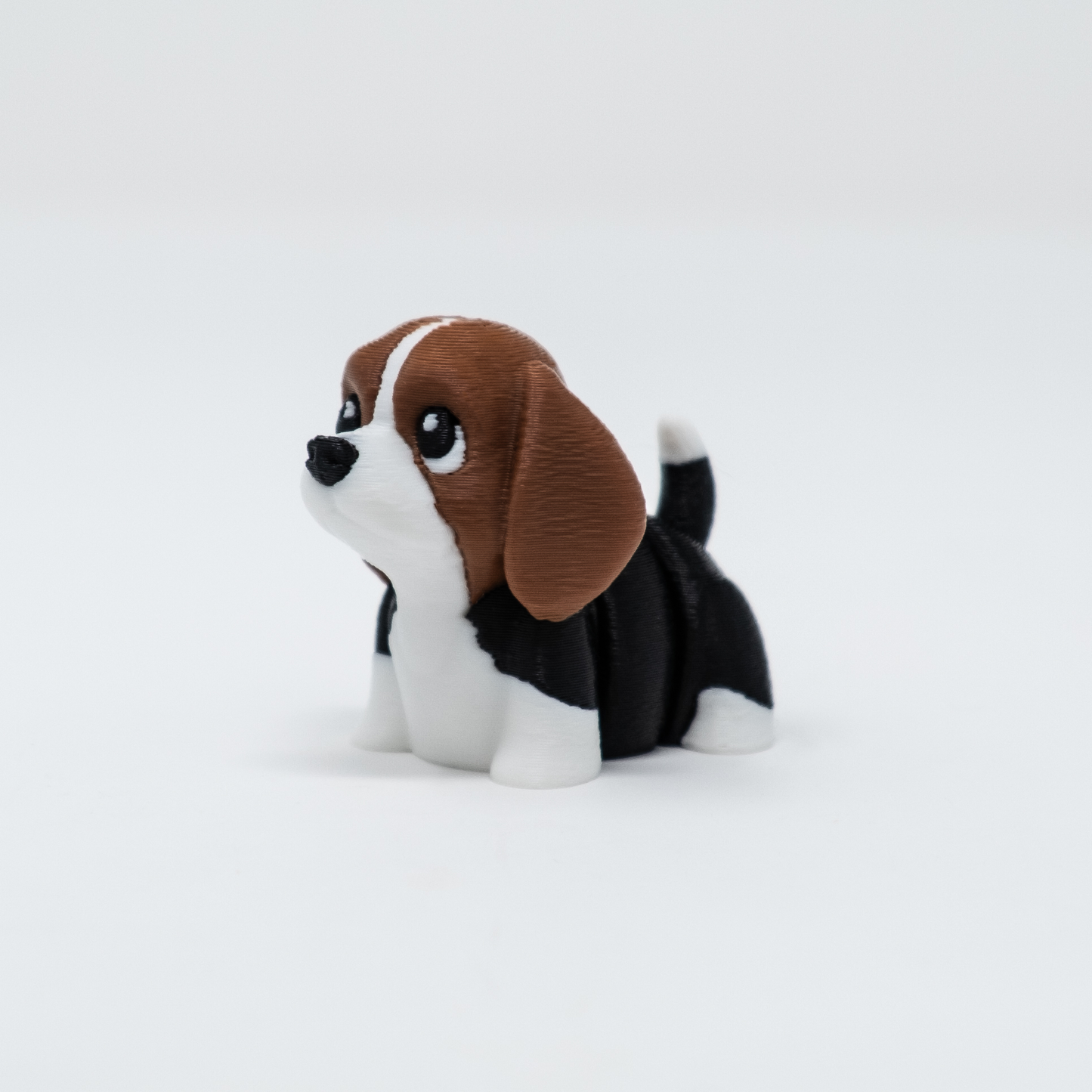 Beagle