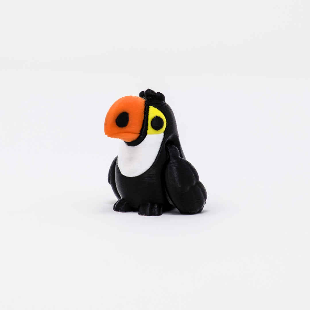 Toucan