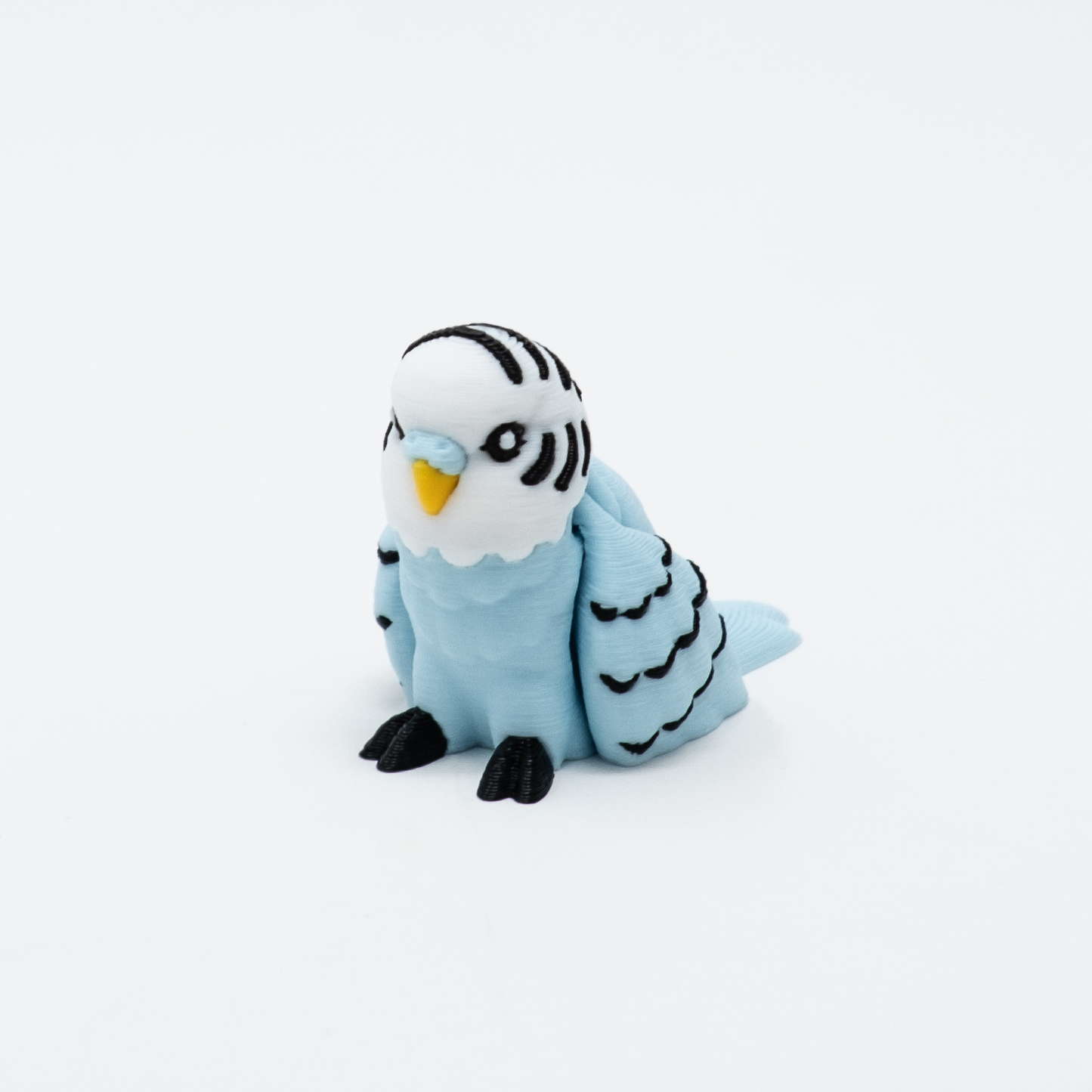 Budgie