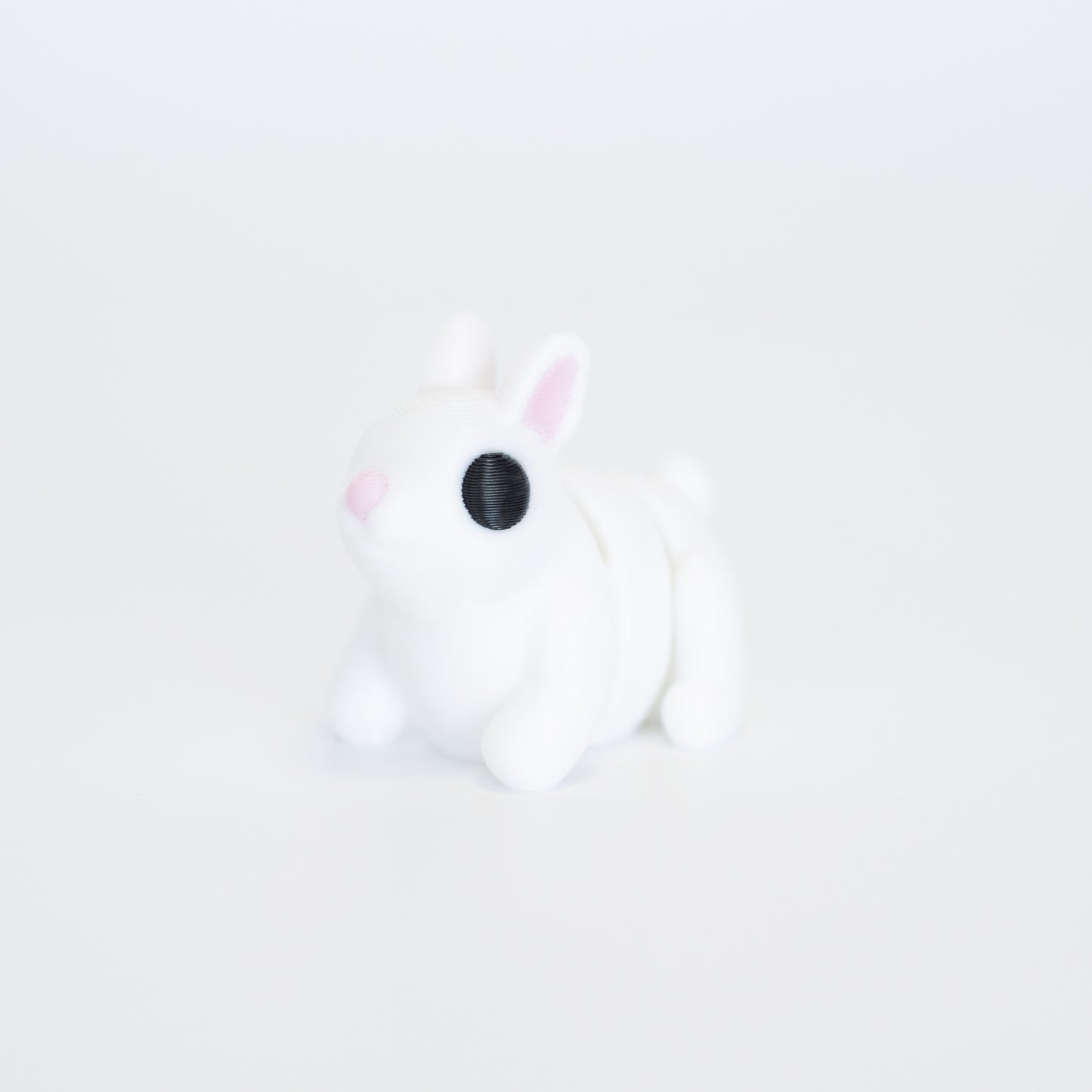 Bunny Rabbit