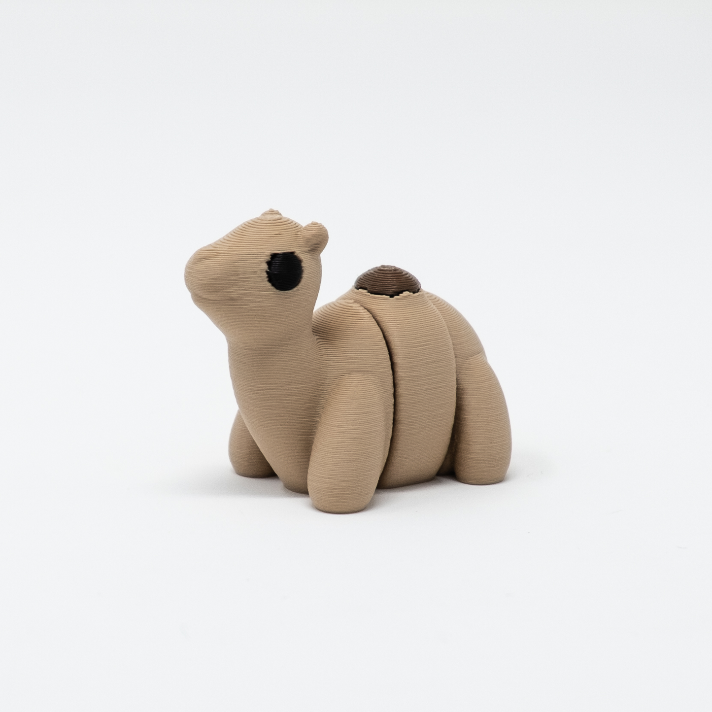 Camel