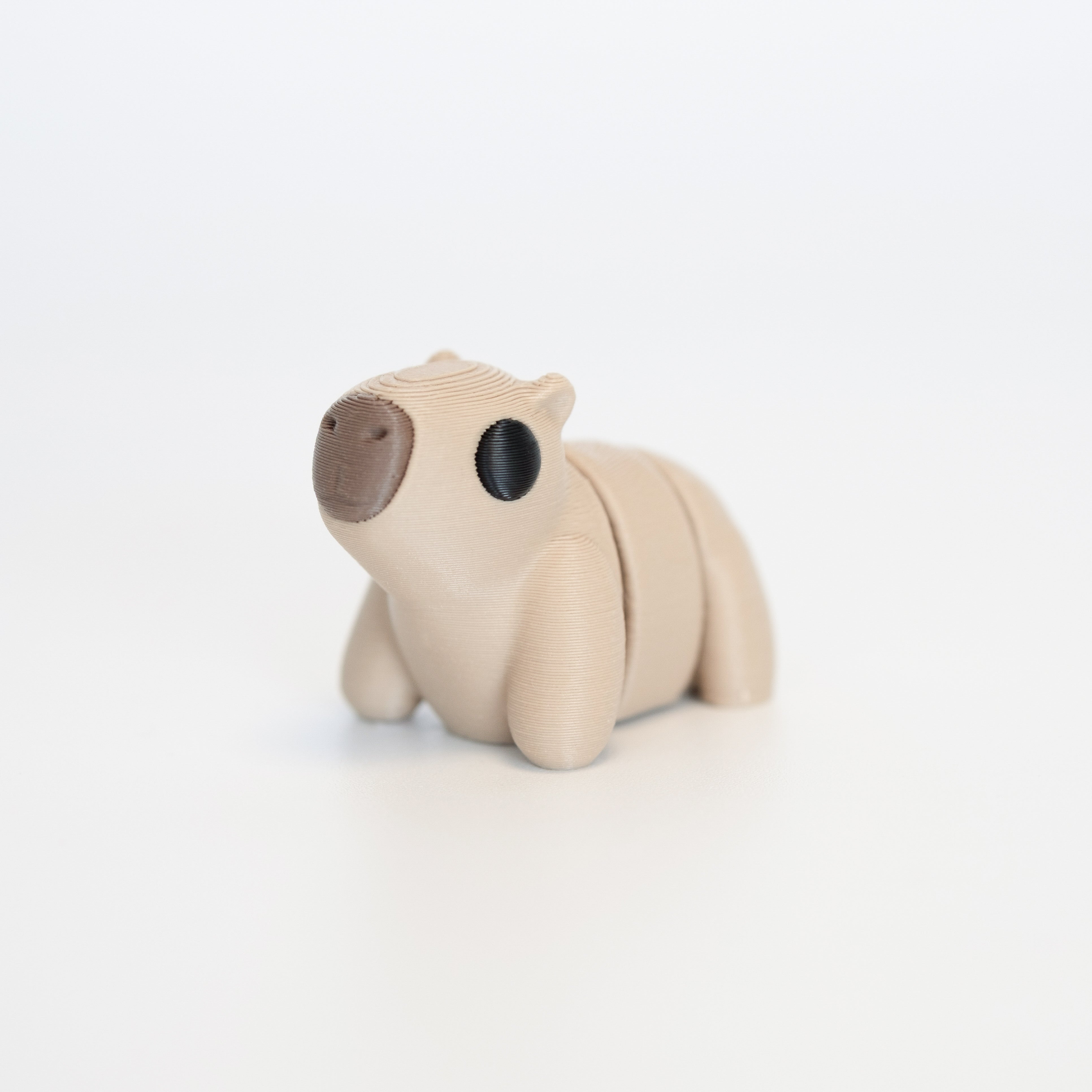 Capybara – Animon Studios