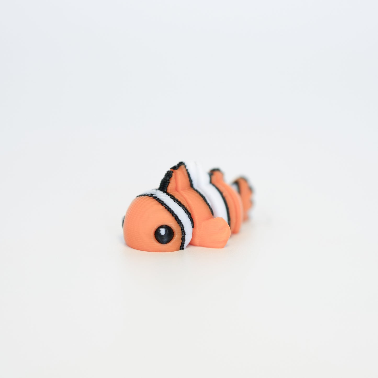 Clown Fish