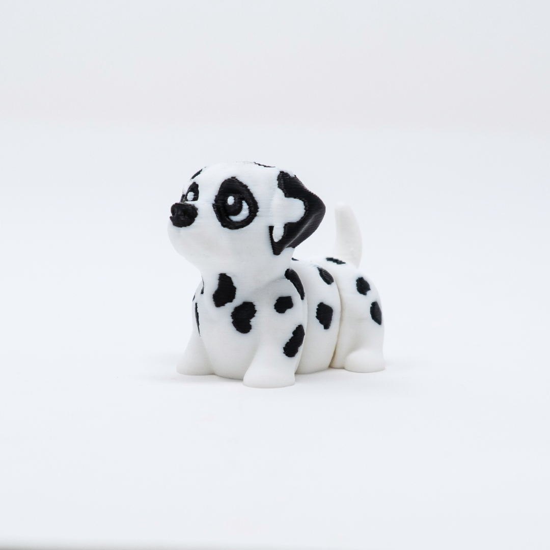 Dalmatian