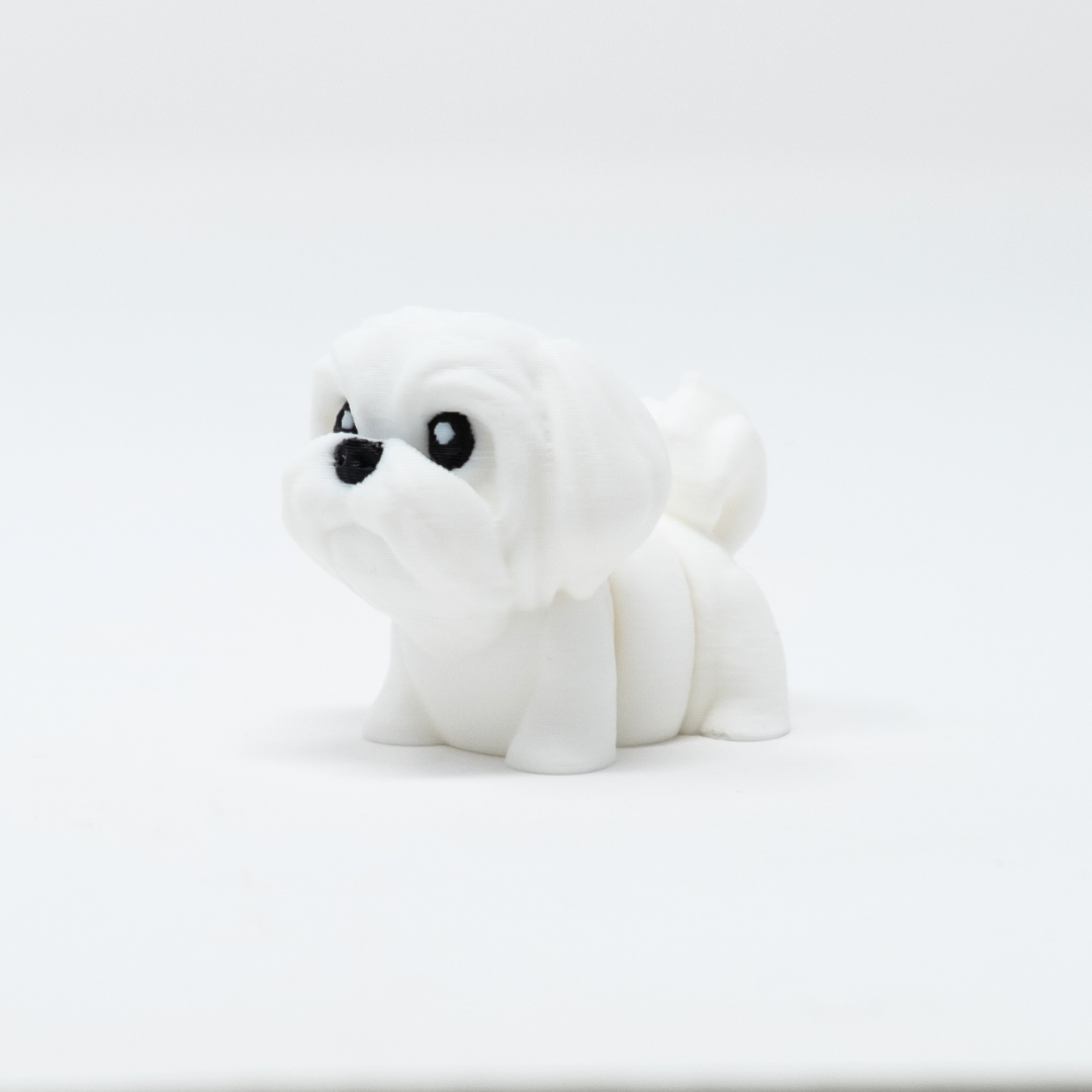Maltese