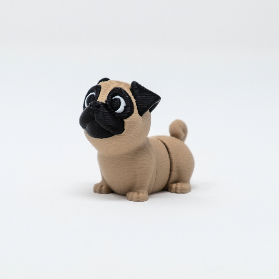 Pug