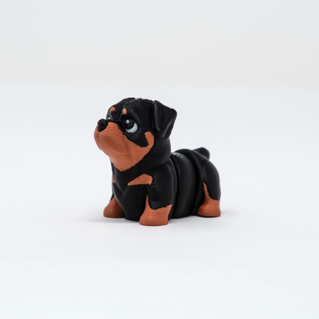 Rottweiler