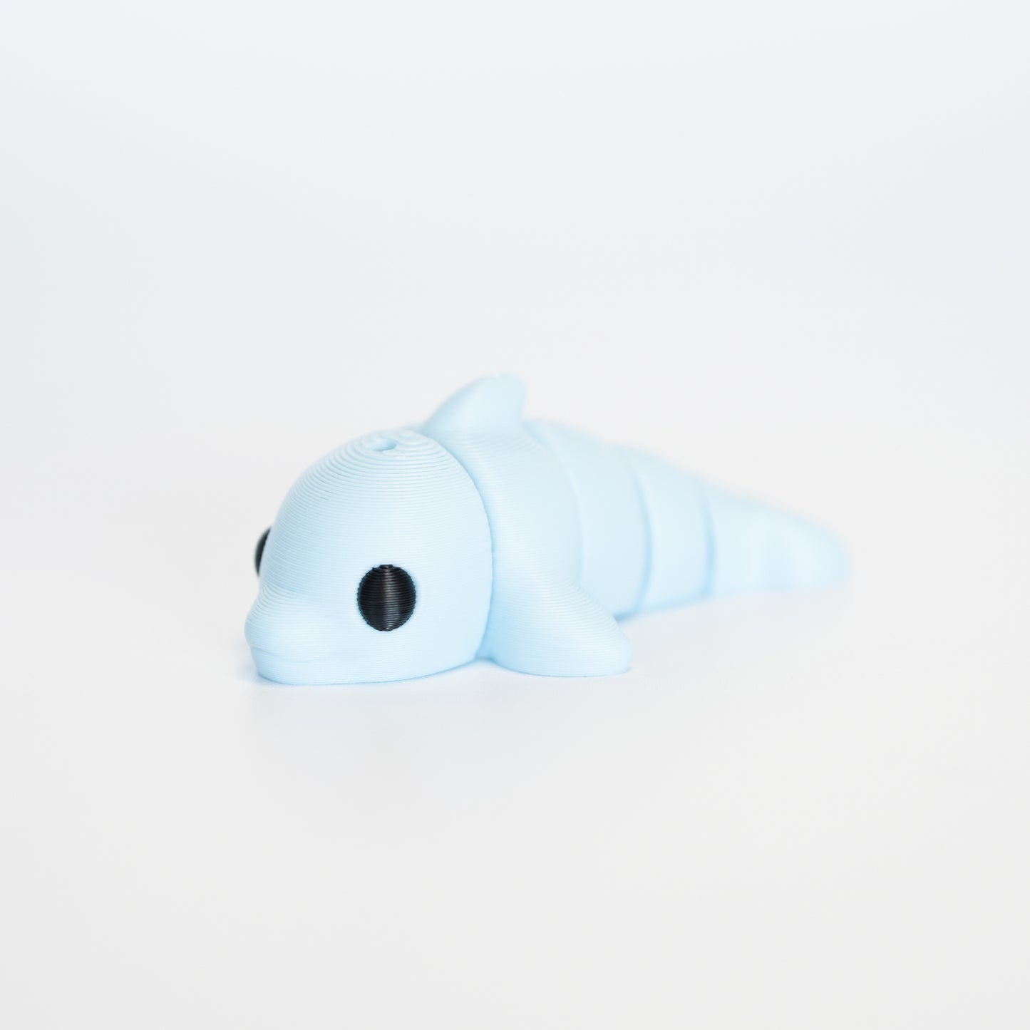 Dolphin