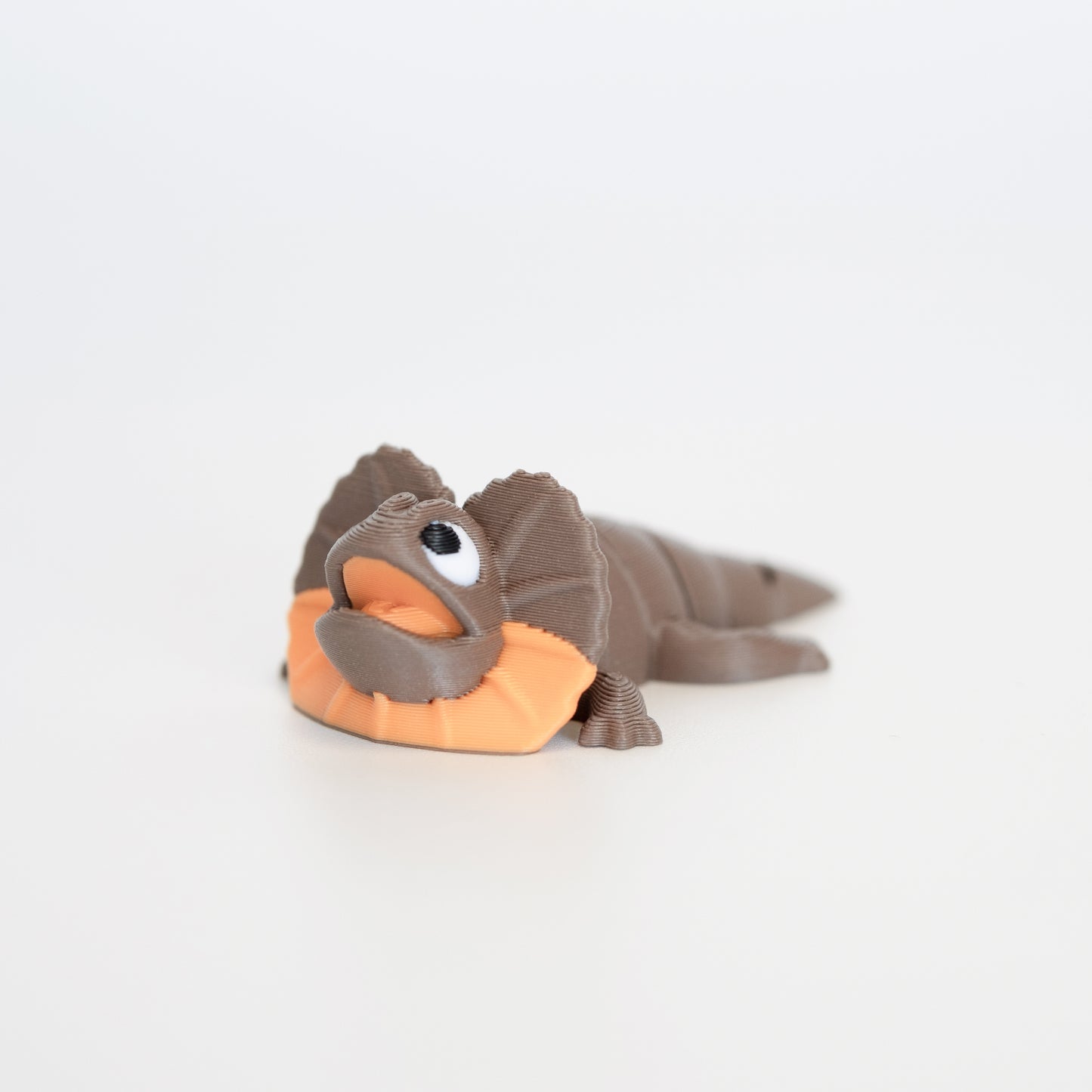 Frilled Neck Lizard
