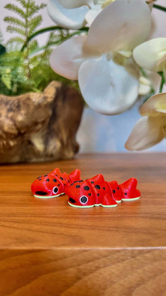 Watermelon Whale Shark