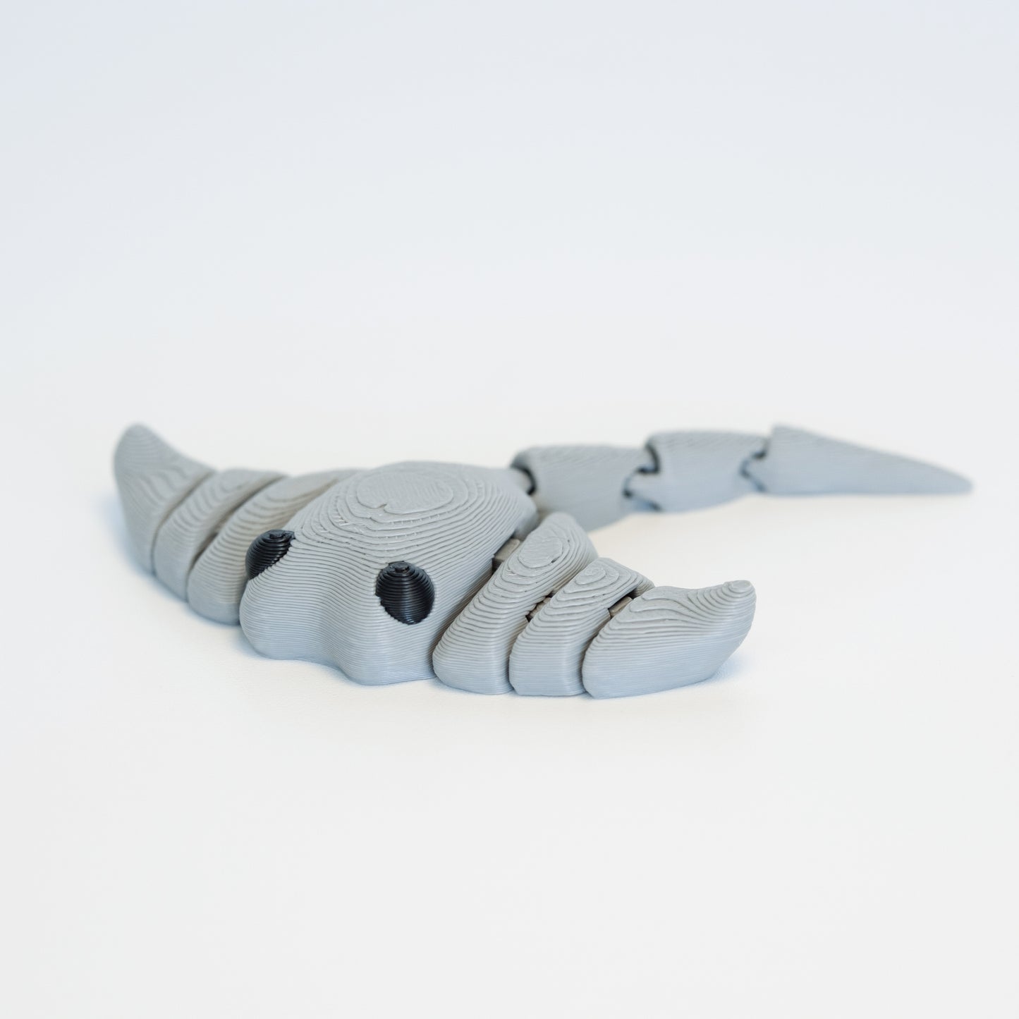 Manta Ray