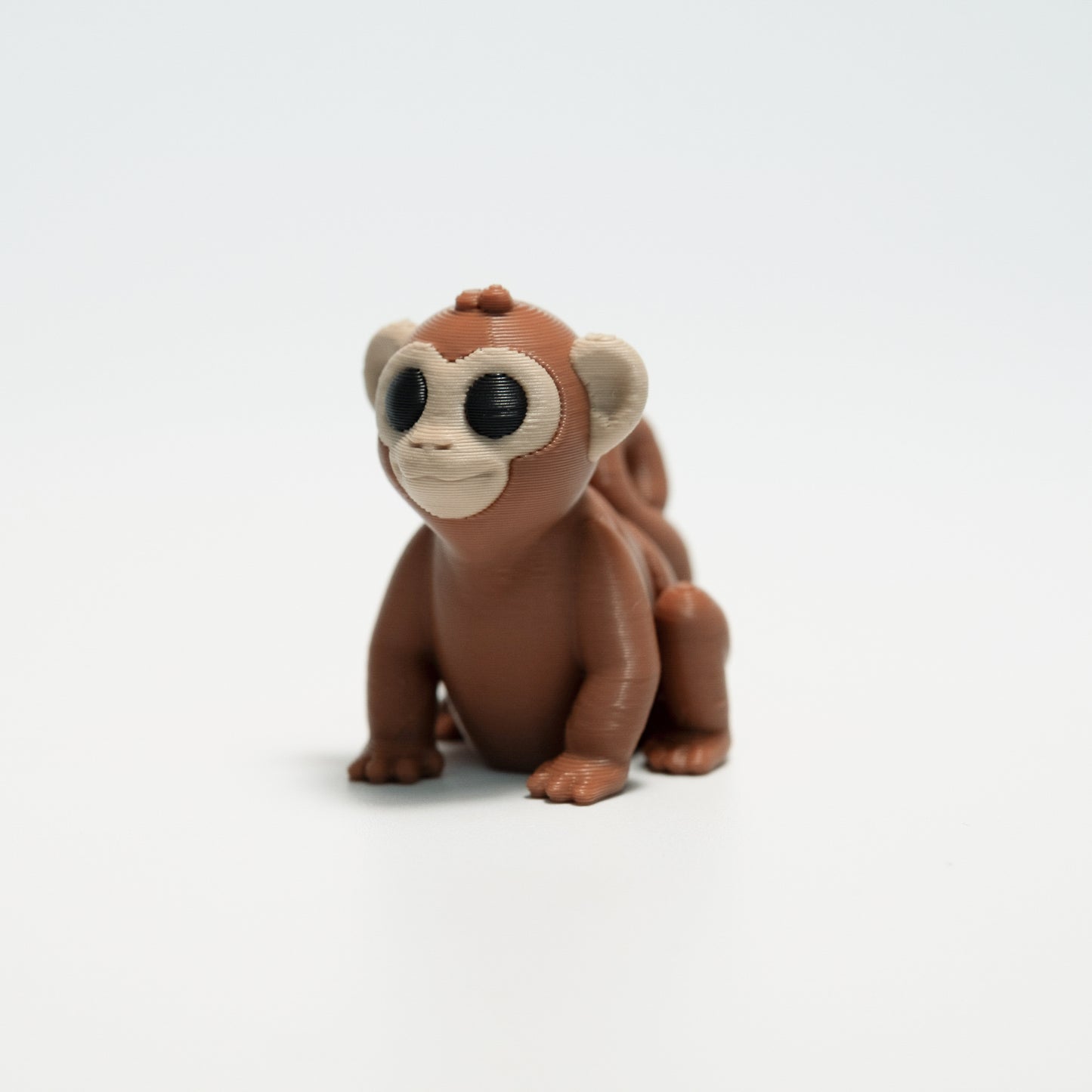 Monkey