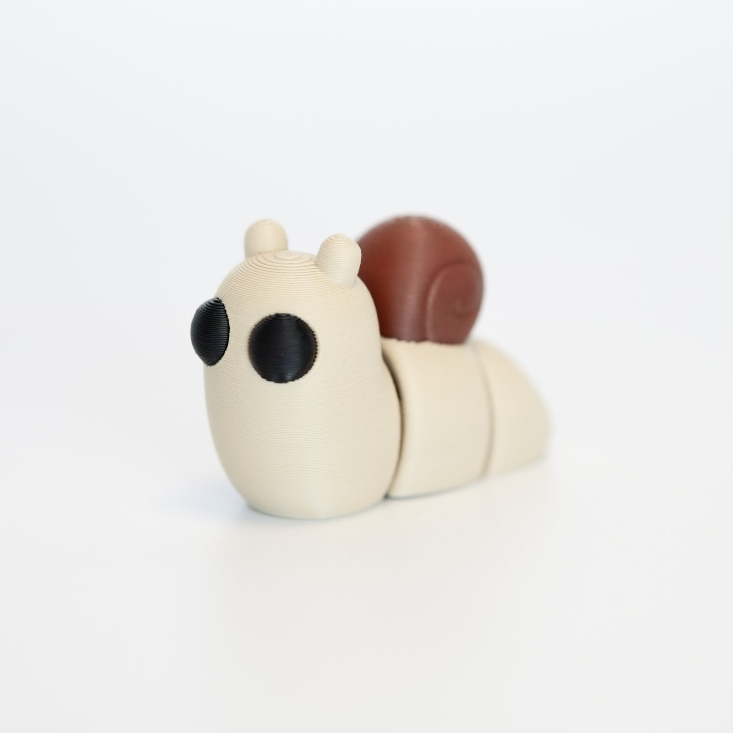 Snail