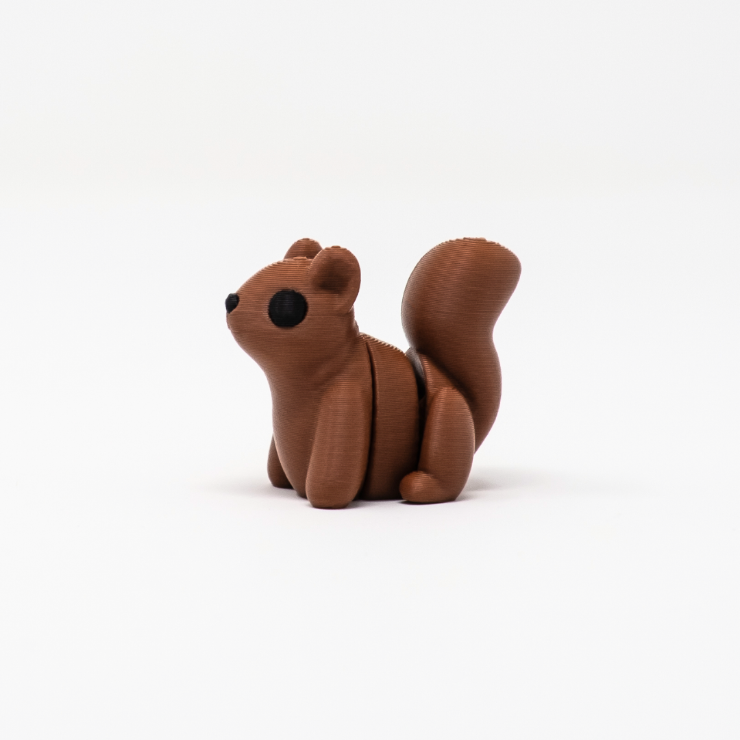 Squirrel