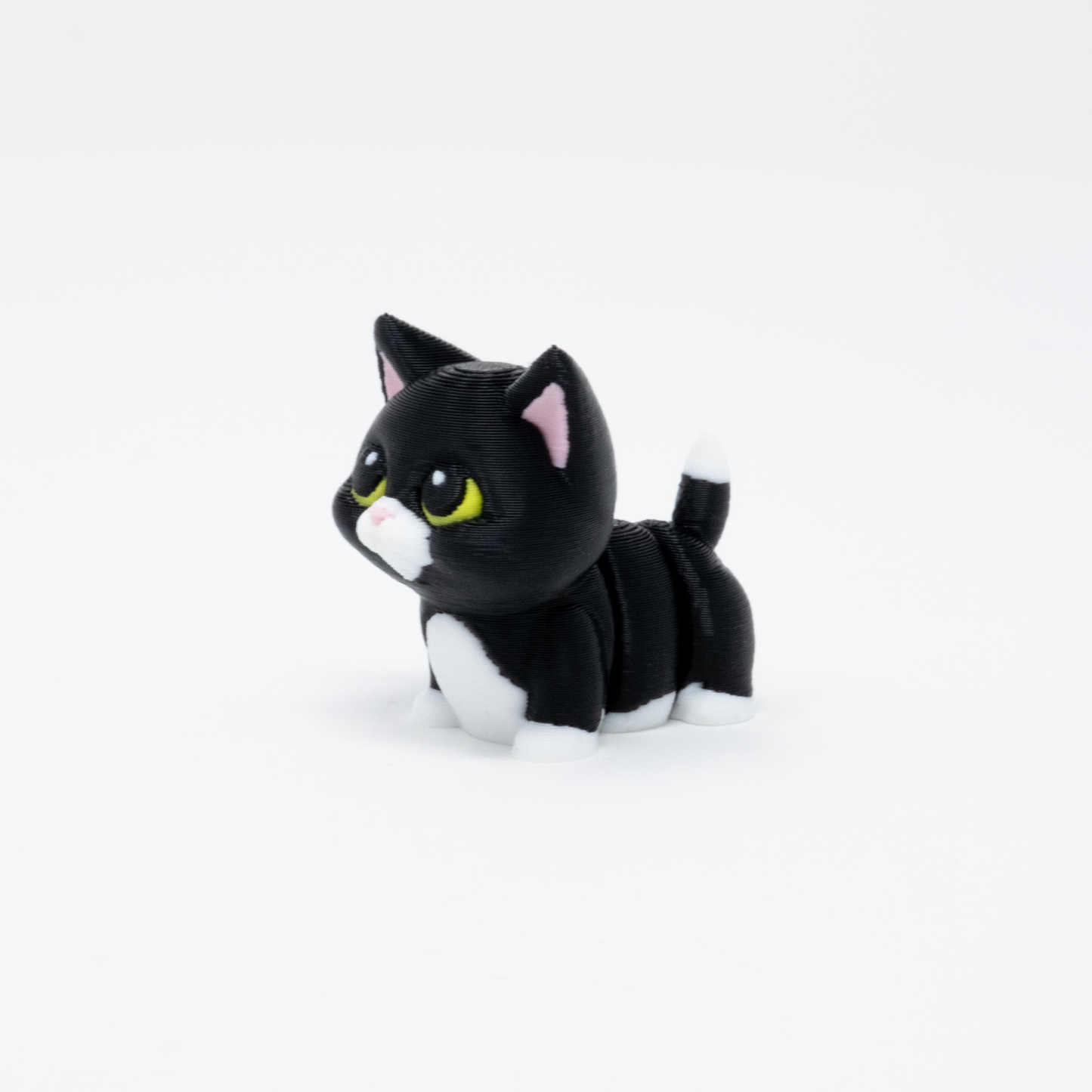 Tuxedo Cat